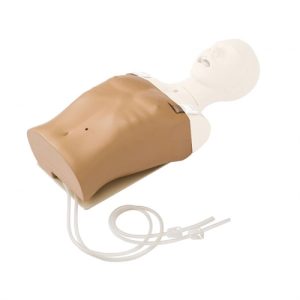 Erler Zimmer Tube Feeding Component Only for Use with Existing Suction Training Model