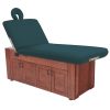 Pivotal Health Signature Spa Series M Class Lift Back Electric Spa Tables