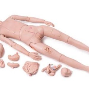 3B Scientific Patient Care Manikin PRO