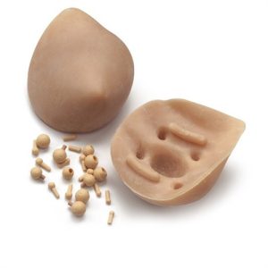 Erler Zimmer Breast Examination Module for Nursing Anne Manikin