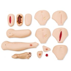 Erler Zimmer Wound Assessment and Care Module Nursing Anne