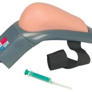 Intramuscular Injection Simulator (Dry)