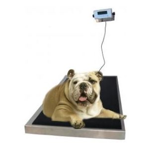 Techno-Aide Large Platform Digital Veterinary Scale