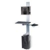 Techno-Aide Veterinary Flip Up Wall Workstation with CPU