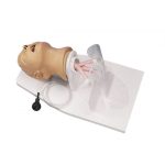 Erler Zimmer Adult Intubation Head Airway Larry