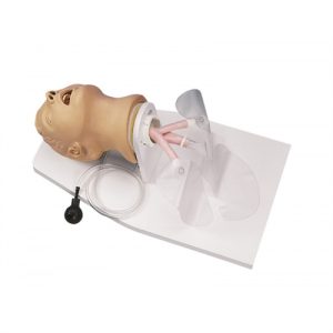 Erler Zimmer Adult Intubation Head Airway Larry