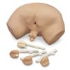 Erler Zimmer Prostate Examination Simulator