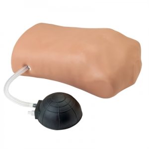 Erler Zimmer Pneumothorax Training Manikin