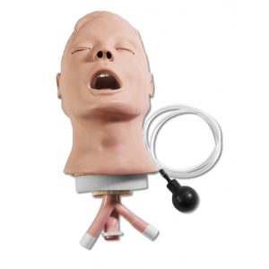 Erler Zimmer Adult Airway Management Trainer Head For CPR Trainer Full Body