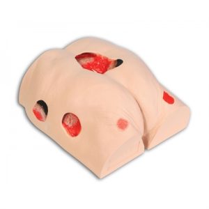 Erler Zimmer Seymour II Decubitus Simulator