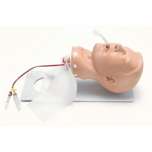 Erler Zimmer Adult Deluxe Airway Management Trainer with Board