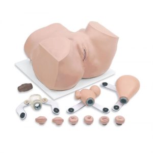 Erler Zimmer Gynecological Training Manikin