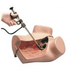 Erler Zimmer Gynaecologic Simulator