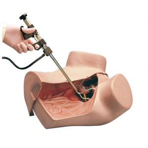 Erler Zimmer Gynaecologic Simulator