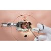 Erler Zimmer Vulva with Integrated Fistula Model