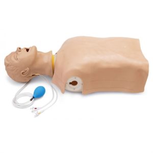 Erler Zimmer Advanced 'Airway Larry' Airway Management Trainer Torso