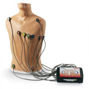 Erler Zimmer 15 - Lead ECG Placement Trainer