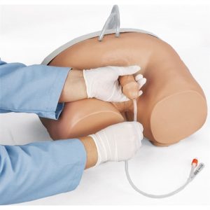 Erler Zimmer Catheterisation Simulator (Male)