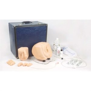 Erler Zimmer Catheterization Trainer with Suprapubic Access