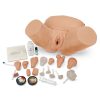 Erler Zimmer Advanced Pelvic Examination and Gynecological Simulator