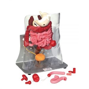 Erler Zimmer OTTO Ostomy Advanced