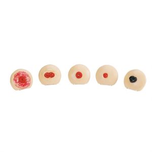 Erler Zimmer Ostomy Care Training Models Set