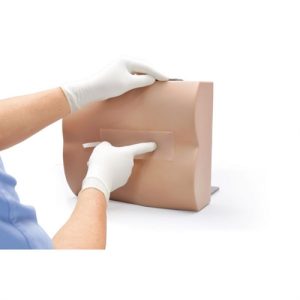 Erler Zimmer Lumbar Puncture Trainer