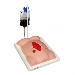Erler Zimmer Freddie Fistula Skills Trainer with Case
