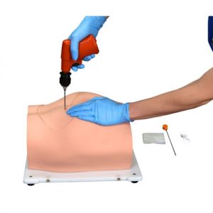 Erler Zimmer Bonnie Bone Marrow Biopsy Skills Trainer