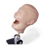 Erler Zimmer Dental Manikin