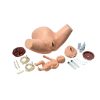 Erler Zimmer Super OB Susie