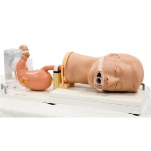 Erler Zimmer Gastroscopy Simulator Gastro (EGD)
