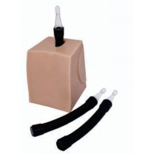 Erler Zimmer Geriatric Replacement Core for Epidural Spinal Injection Simulator Genesis