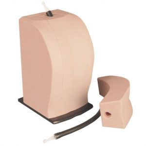 Erler Zimmer Thoraxis Thoracic Neuraxial Simulator