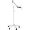 Burton Super Exam LED White Light, Floor Stand EU