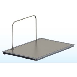SR Scales Extra Large In-Floor Platform Scale with Rotating display, 48' x 72'