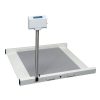 SR Scales SR725i Portable Wheelchair Scale with Microban Antimicrobial Technology, 30' x 32'