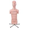3B Scientific MRI Torso Model with 15 Transverse Sections Smart Anatomy