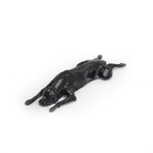 Erler Zimmer Dog Phantom for CT and X-RAY