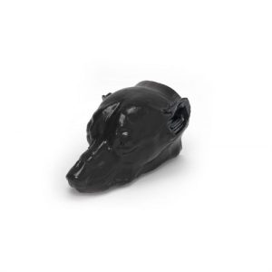 Erler Zimmer Dog's Head - Phantom for CT and X-RAY
