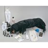 Erler Zimmer Advanced CPR Dog