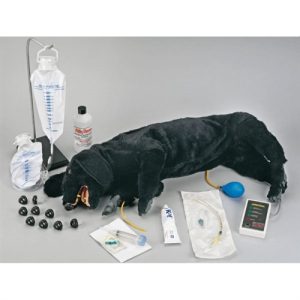 Erler Zimmer Advanced CPR Dog