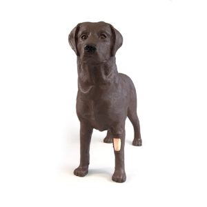 Erler Zimmer Gynecological Training Dog Bella