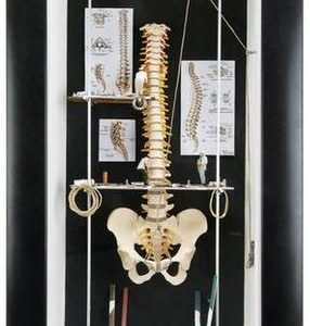 Spine in Wall Display
