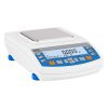 Radwag PS-1000.R1 Precision Balance