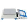 Radwag WLY-2-D2 Precision Balance